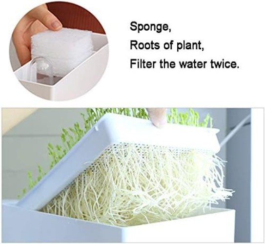 Aquaponic Fish Tank & Seed Sprouter System