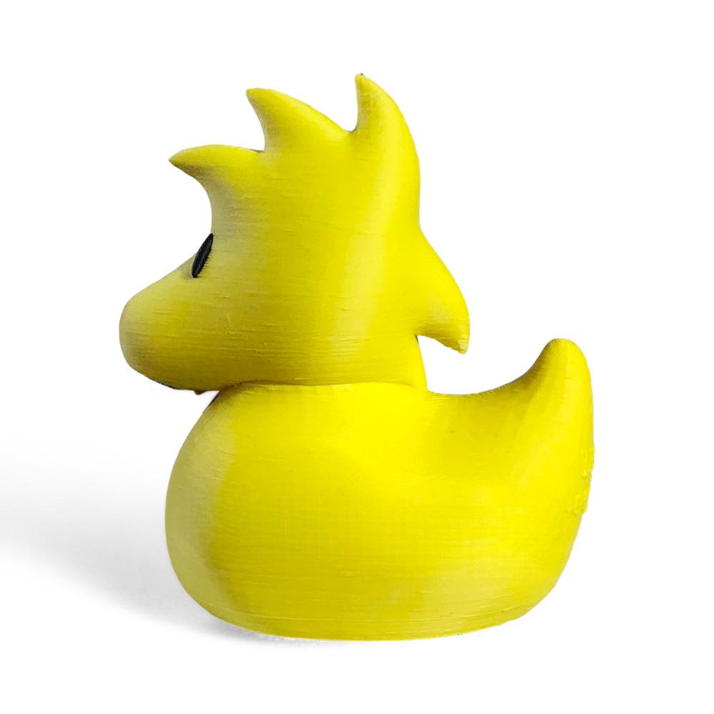 Woodstock Duck