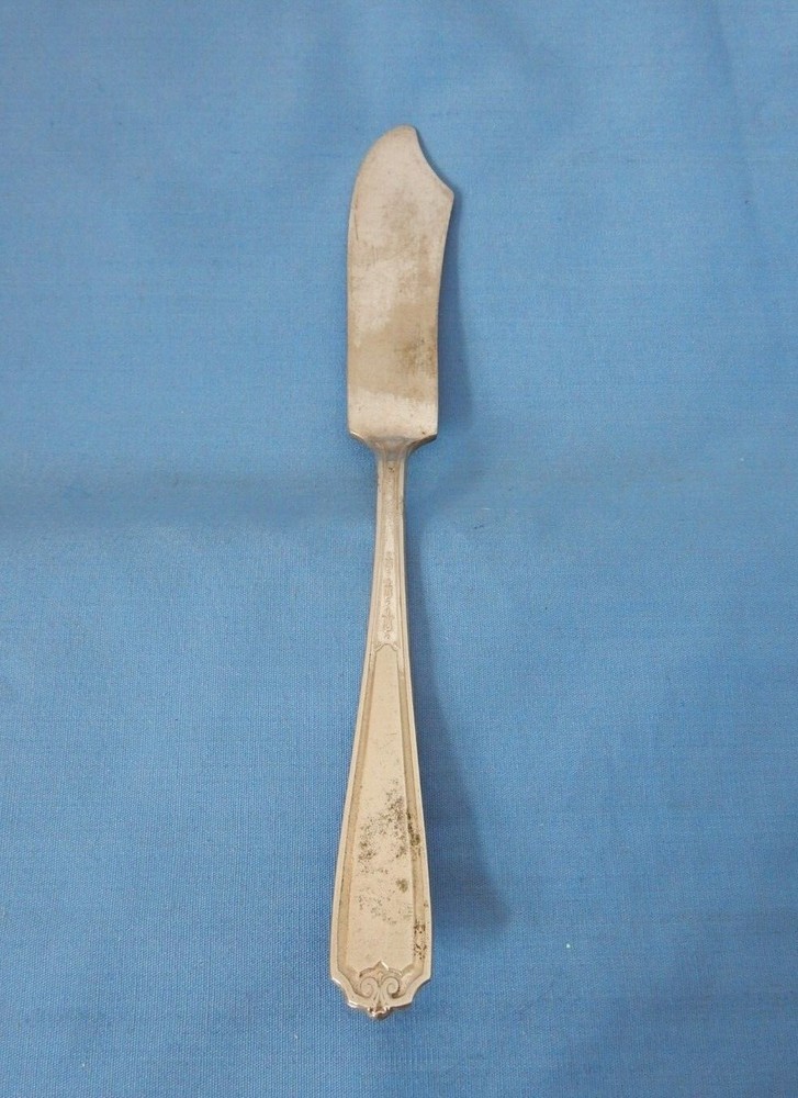 National Silver Silverplate Nineteen Master Butter Knife