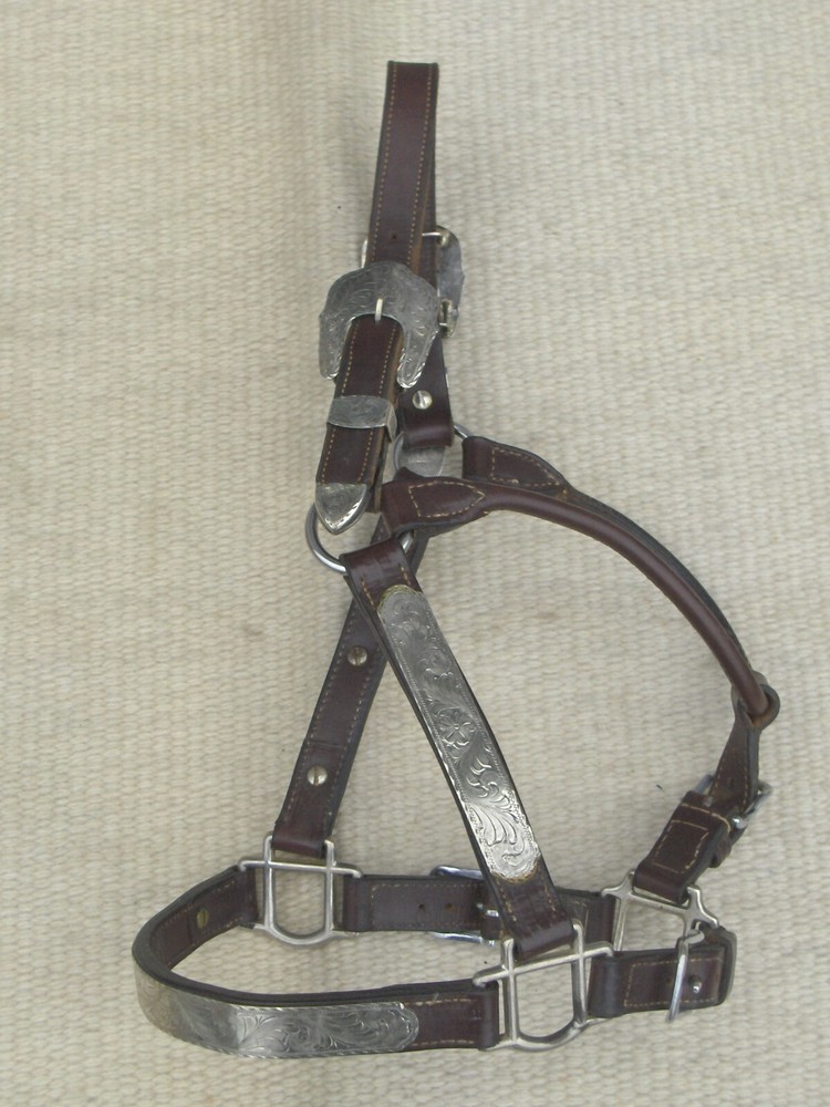 BILLY ROYAL WESTERN SHOW HALTER with SILVER@@