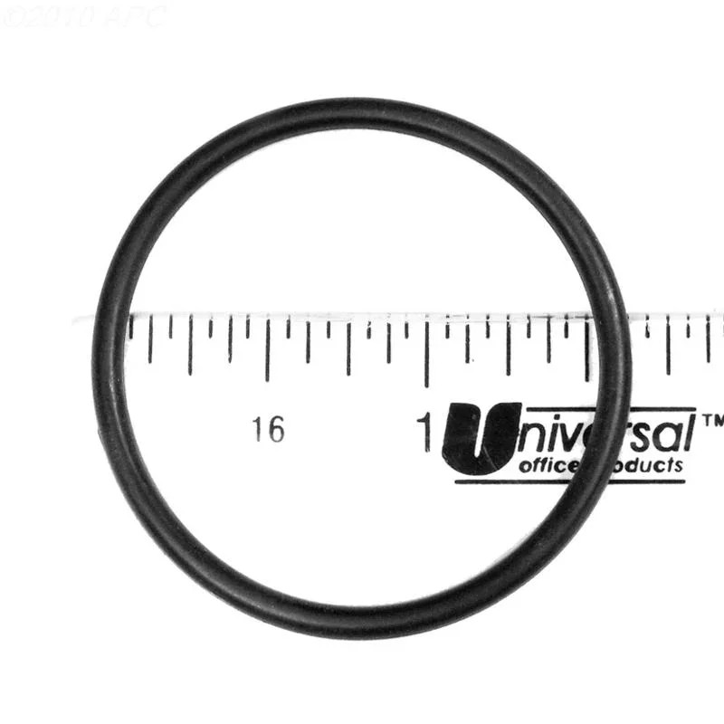 O-Ring, Bottom