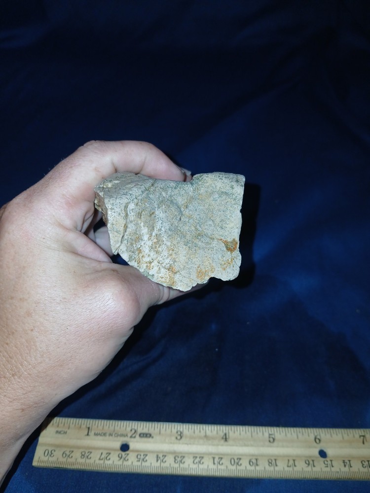 16 oz Texas Petrified Wood