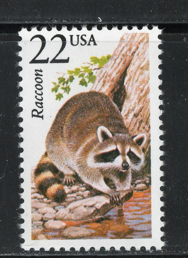 2331 * RACCOON *  U.S. 22c Postage Stamp MNH *