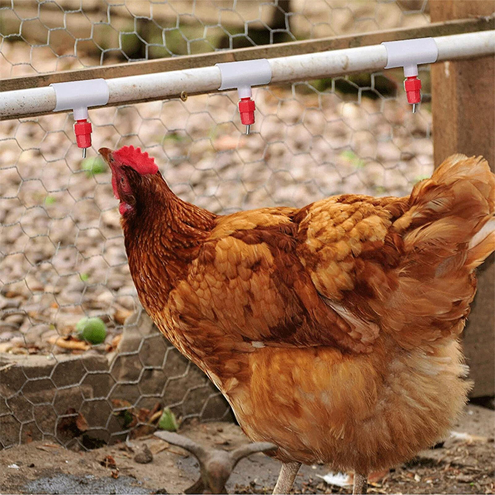 10pcs three-way Connector For Chicken Waterer Fully Automatic