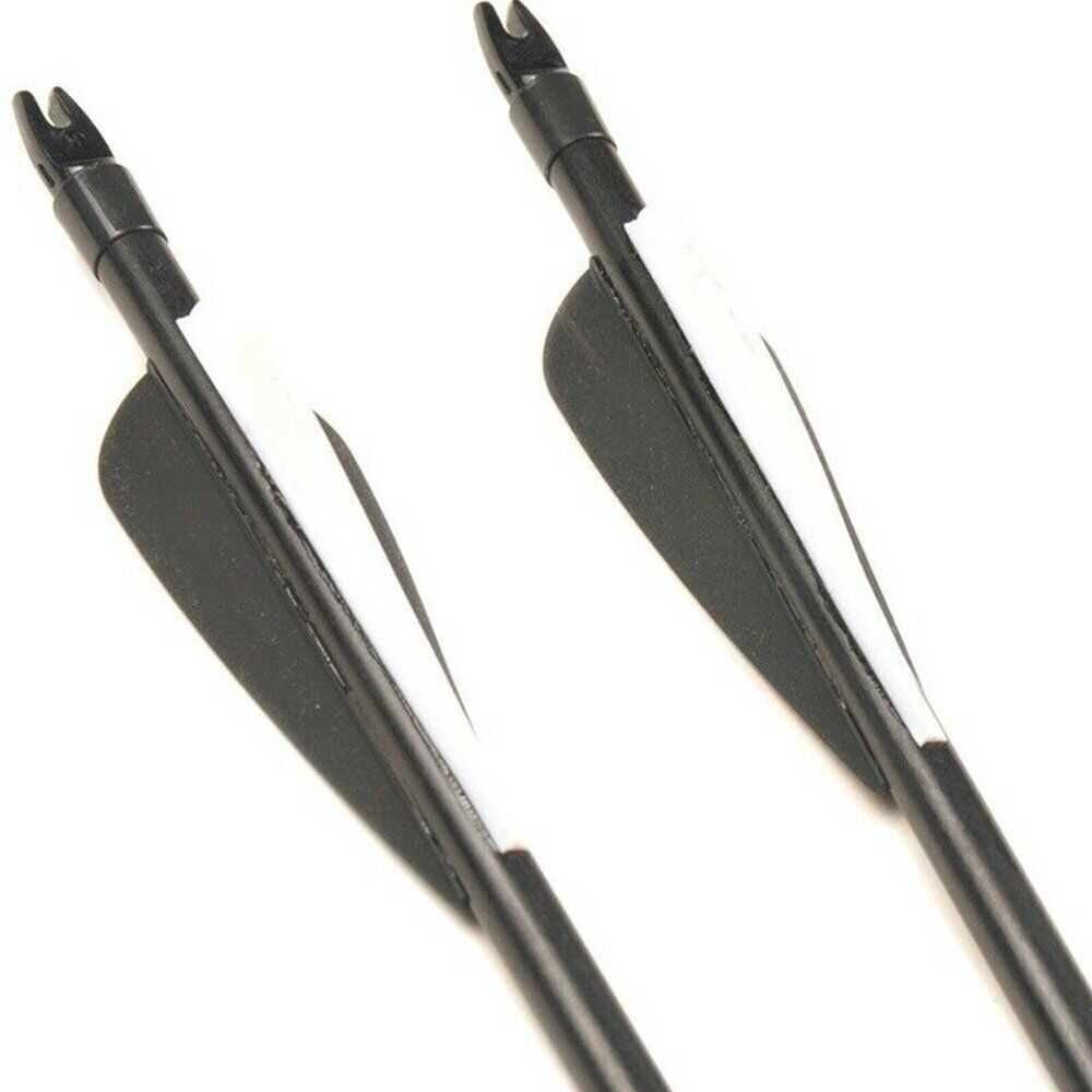 12Pcs 30'' Fiberglass Practice Target Arrows with Replaceable Arrowhead Spine500