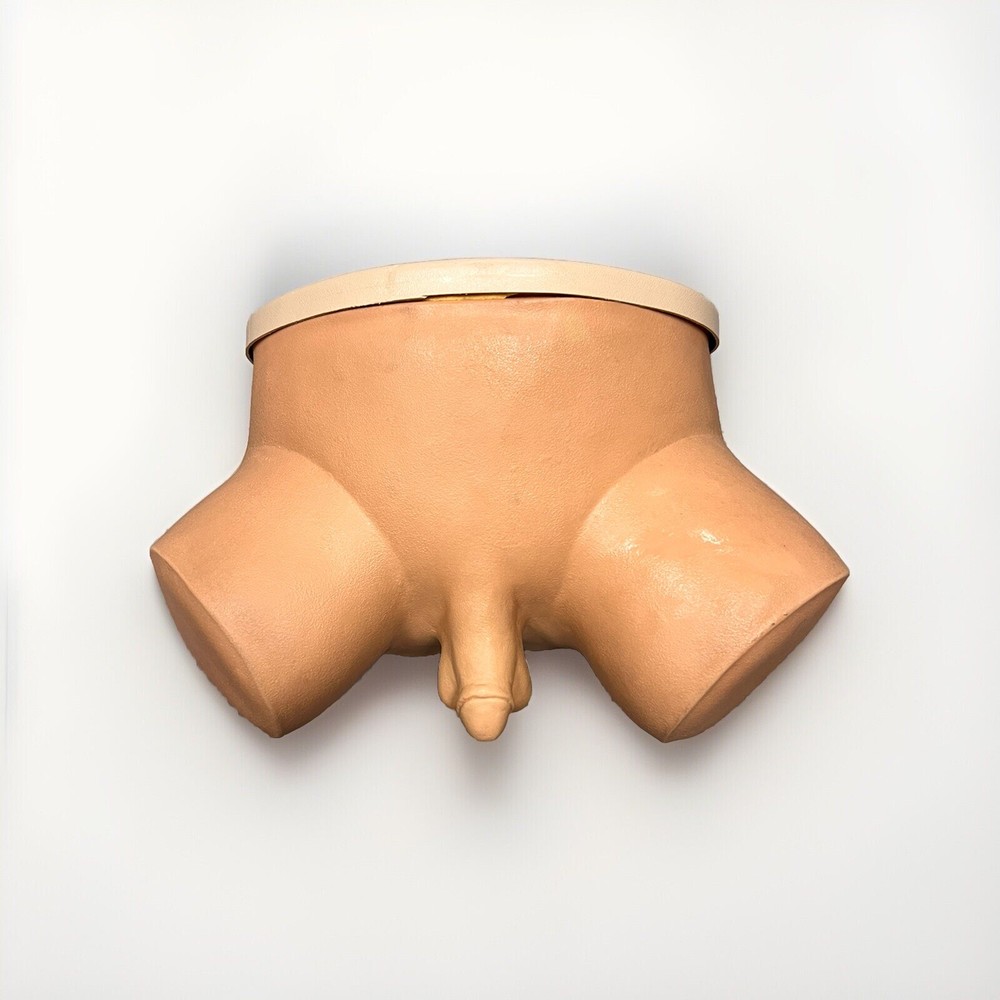 Male Rectal Examination Trainer Advanced - Light Tone - Lifeform