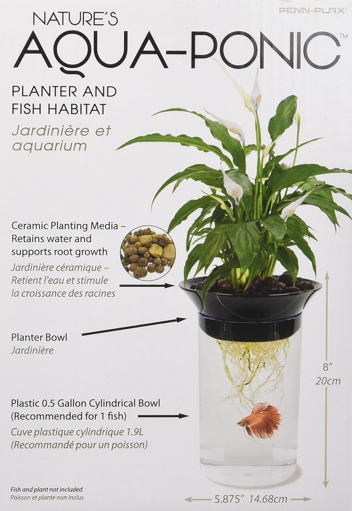 Aquaponic Planter for Betta Fish