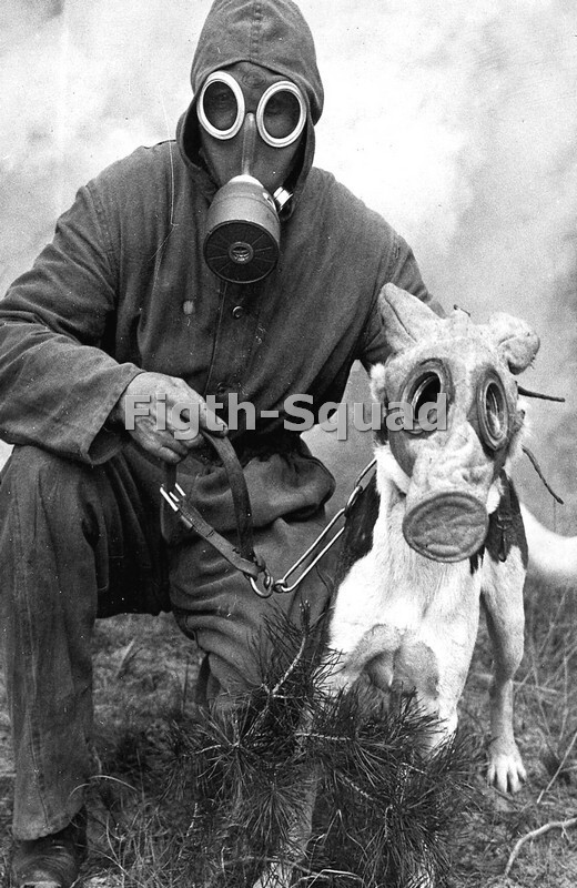 WW1 Picture Photo WWI 1916  German soldier and his dog wearing masks 7977