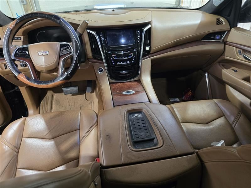 ESCALAESV 2017 Camera/Projector 590723