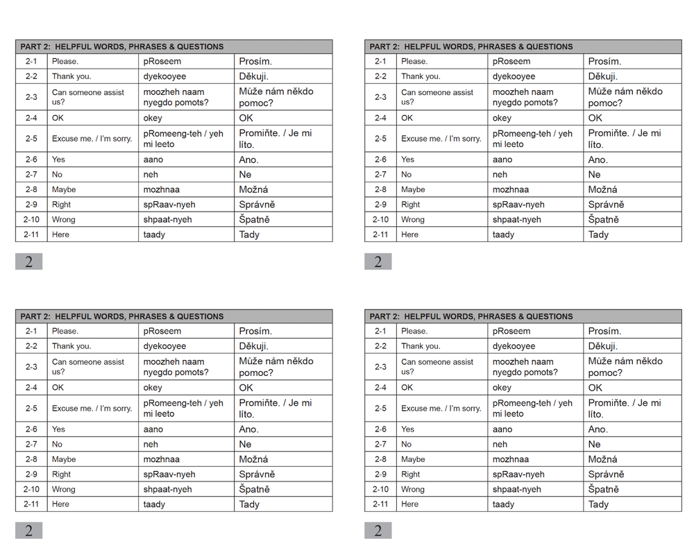 Defense Language Institute DLI BASIC CZECH Text & 600+ MP3 Audio CD
