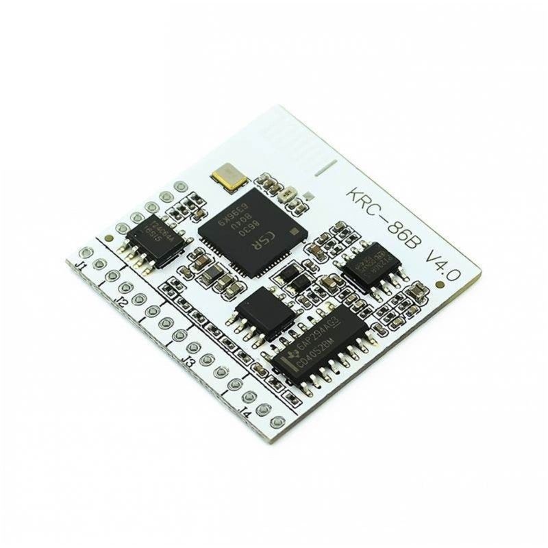 24Bit 48kHz Auditory Module Intelligent Control Enhances Sound Optimization
