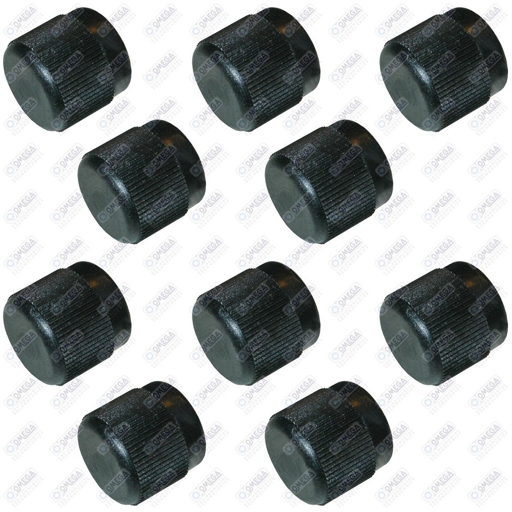 Santech 10 Pk R12 Valve Cap - Black Plastic - Low & High