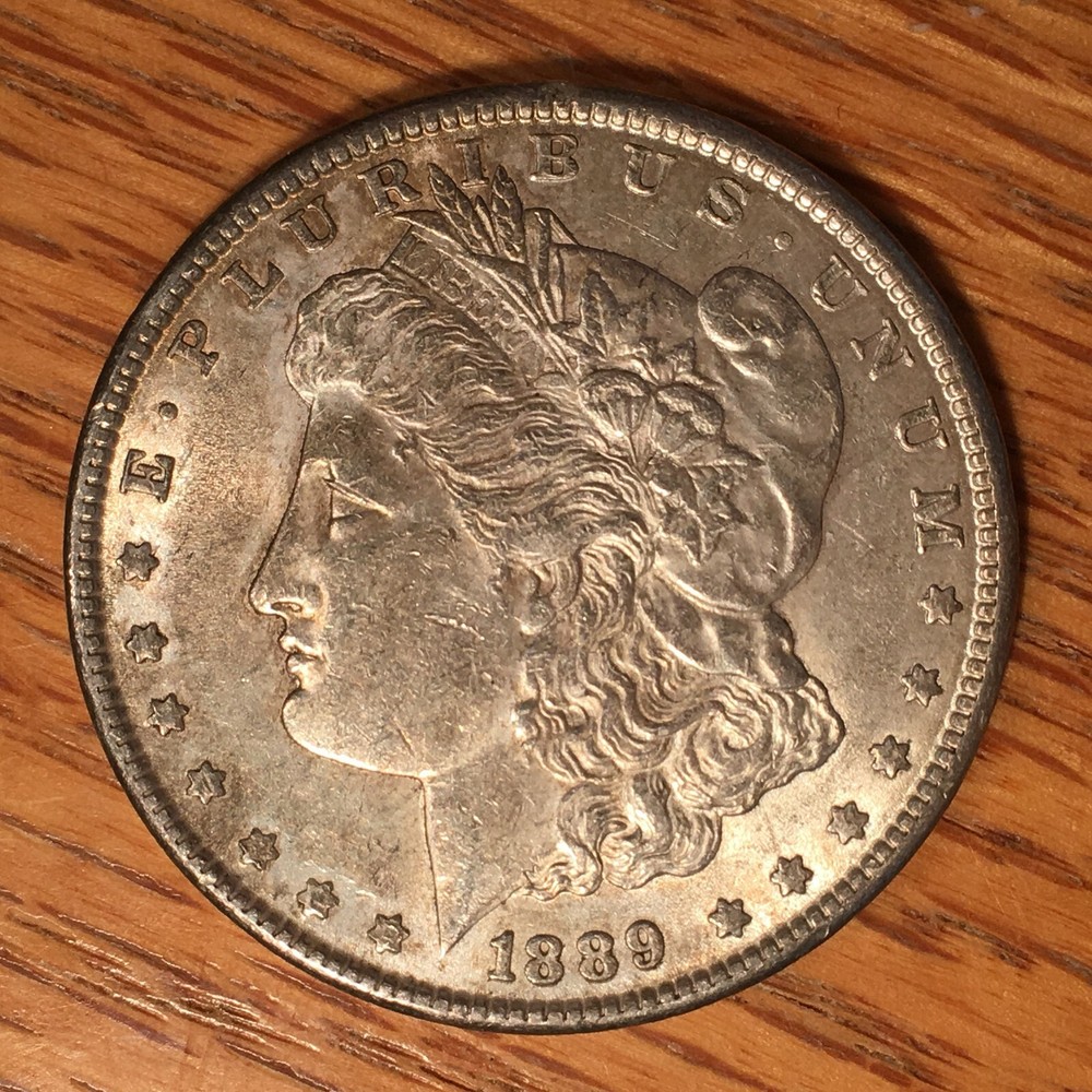 1889 Morgan Silver Dollar - High Quality Scans #i146