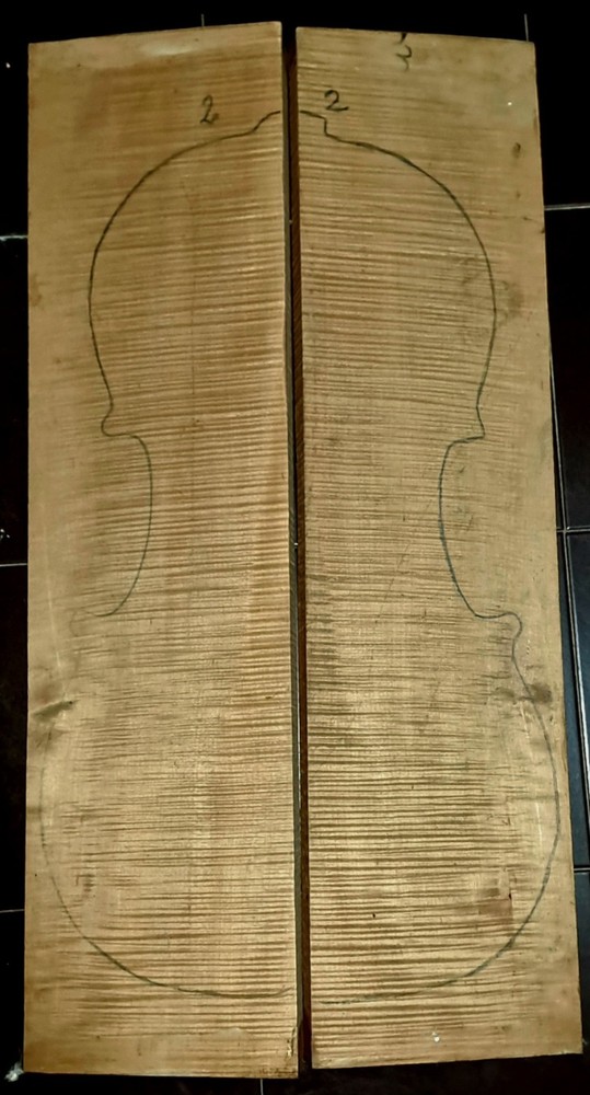 Old European flamed maple for CELLO back