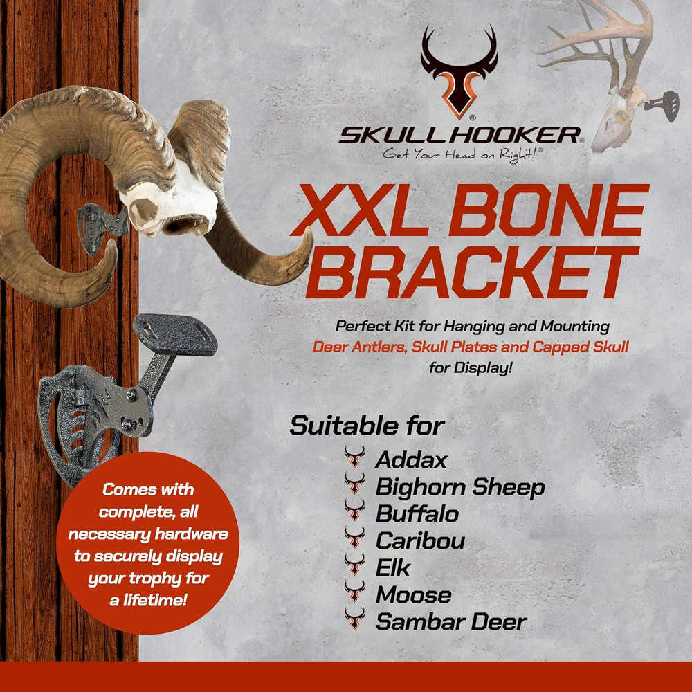 XXL Bone Bracket Large and XL Game