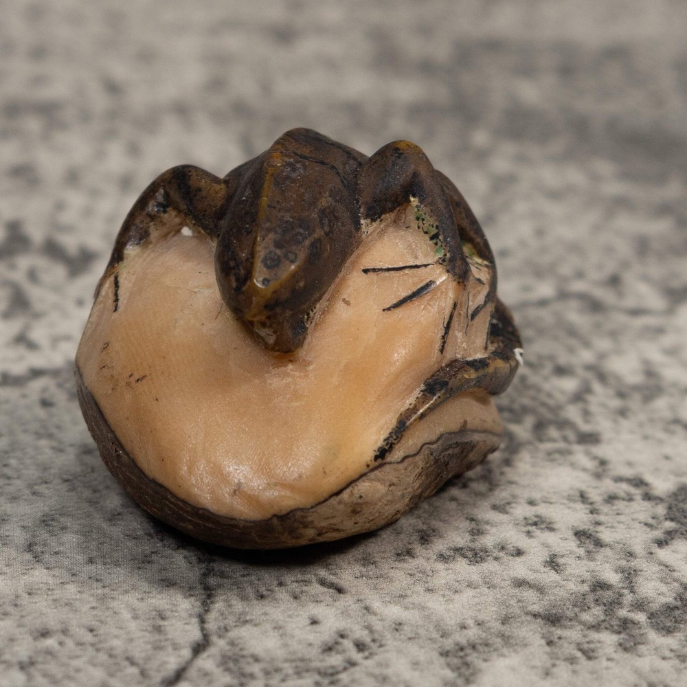 Vintage Green Iguana Lizard Tagua Carving