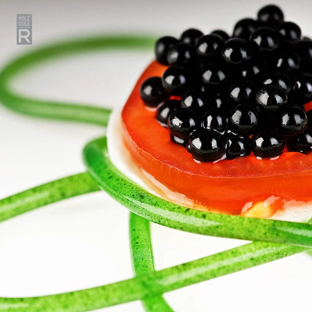 Molecule-R Molecular Gastronomy Starter Kit Cuisine R-evolution