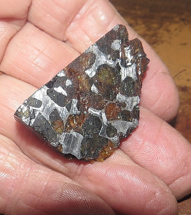 29 gm SERICHO pallasite Meteorite end piece f/ Kenya stand olivine