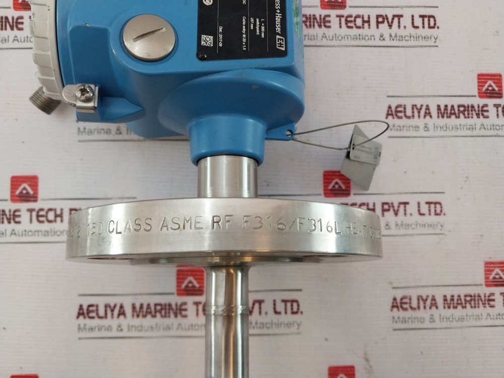 Endress+Hauser FLT51-47JQ5/0 Level Switch
