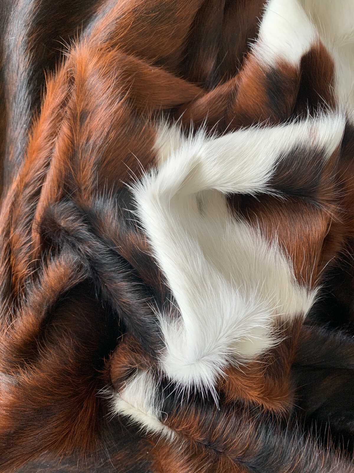 Tricolor Cow Hide Real Skin Leather Rug - Average Size 6X6 feet New Cowhide Rug