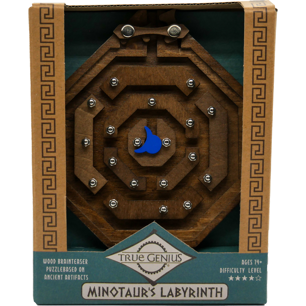 Minotaur's Labyrinth Brainteaser Puzzle True Genius New
