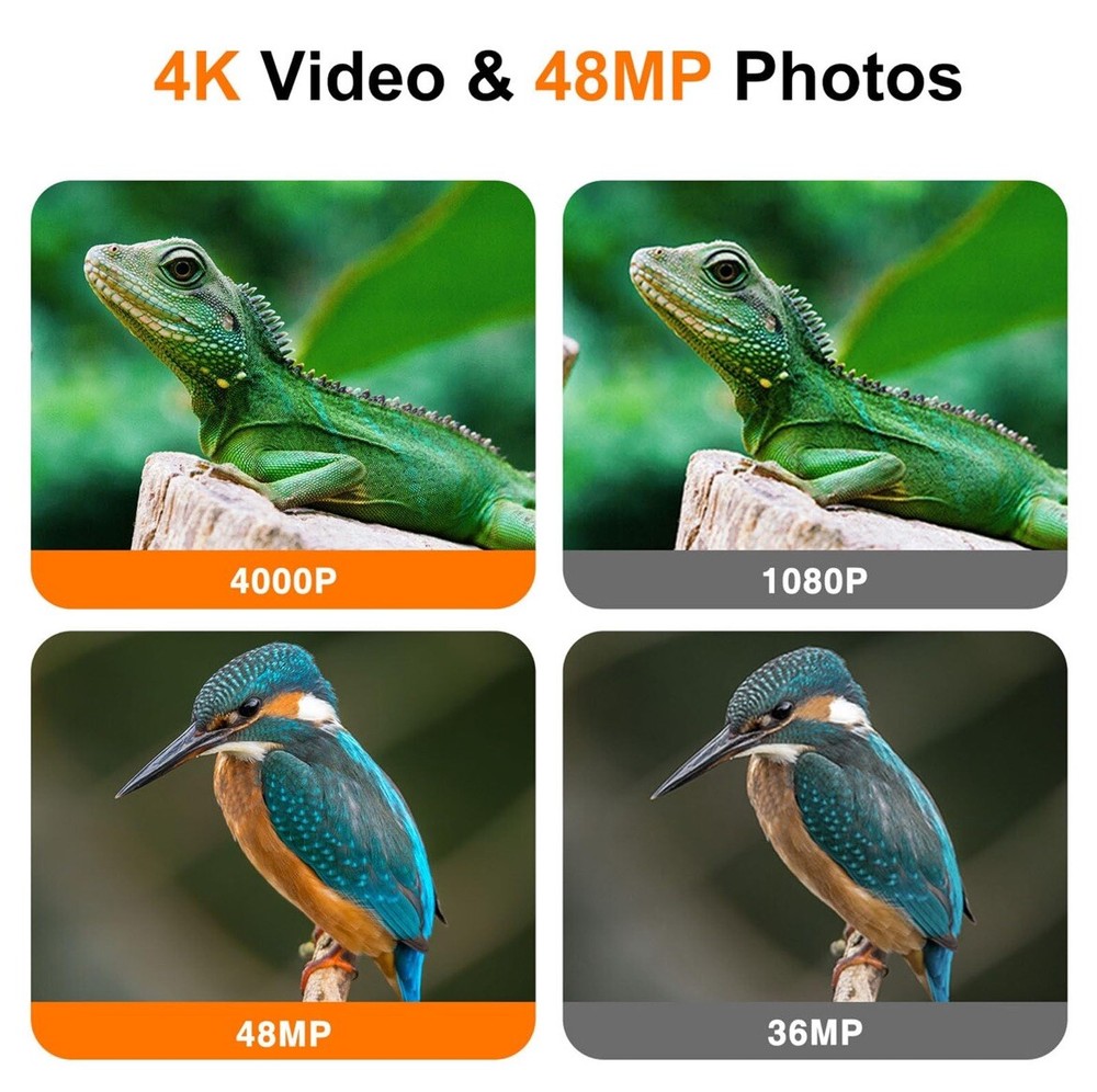 4K 48MP WiFi & Bluetooth Trail Camera with Night Vision ☆SEE DESCRIPTION☆