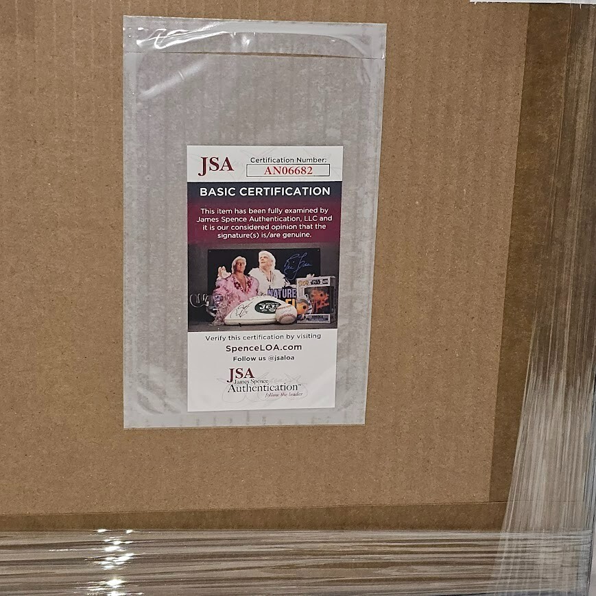 Rick Springfield signed Autographed Automatic CD JSA Certified Framed