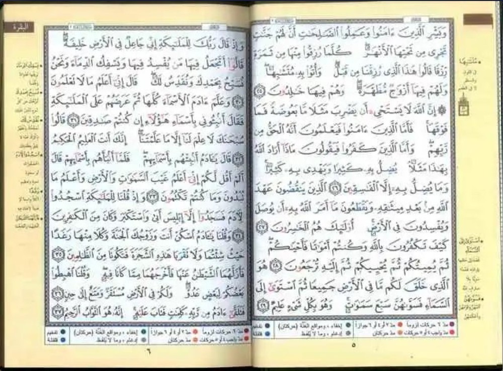 Tajweed Quran – Medium Size, Color-Coded Arabic Text Only