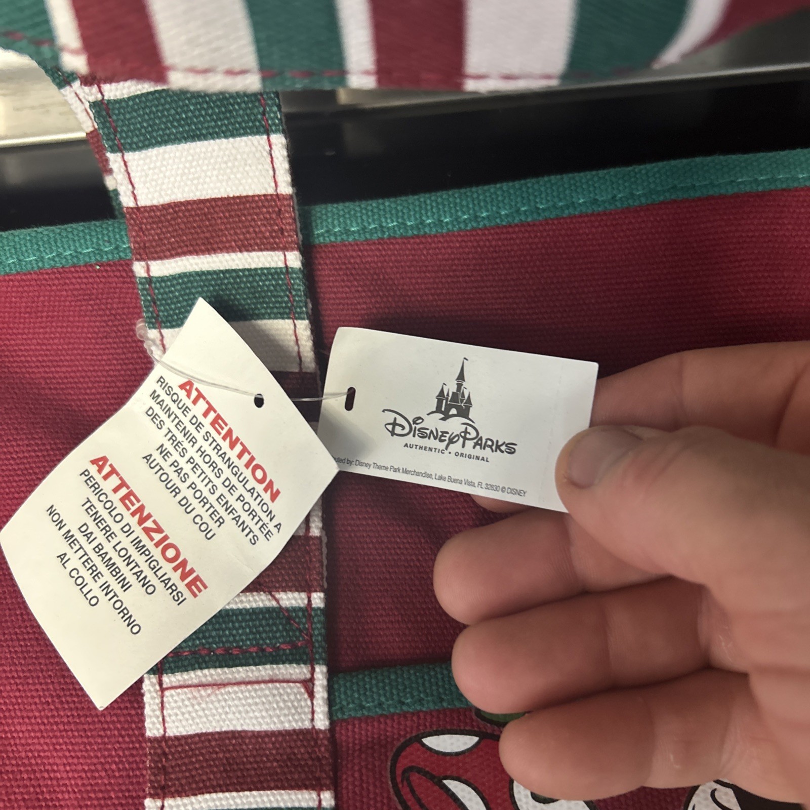 Walt Disney World Mickey & Minnie Mouse Christmas Canvas Tote Bag w/ Zipper NEW