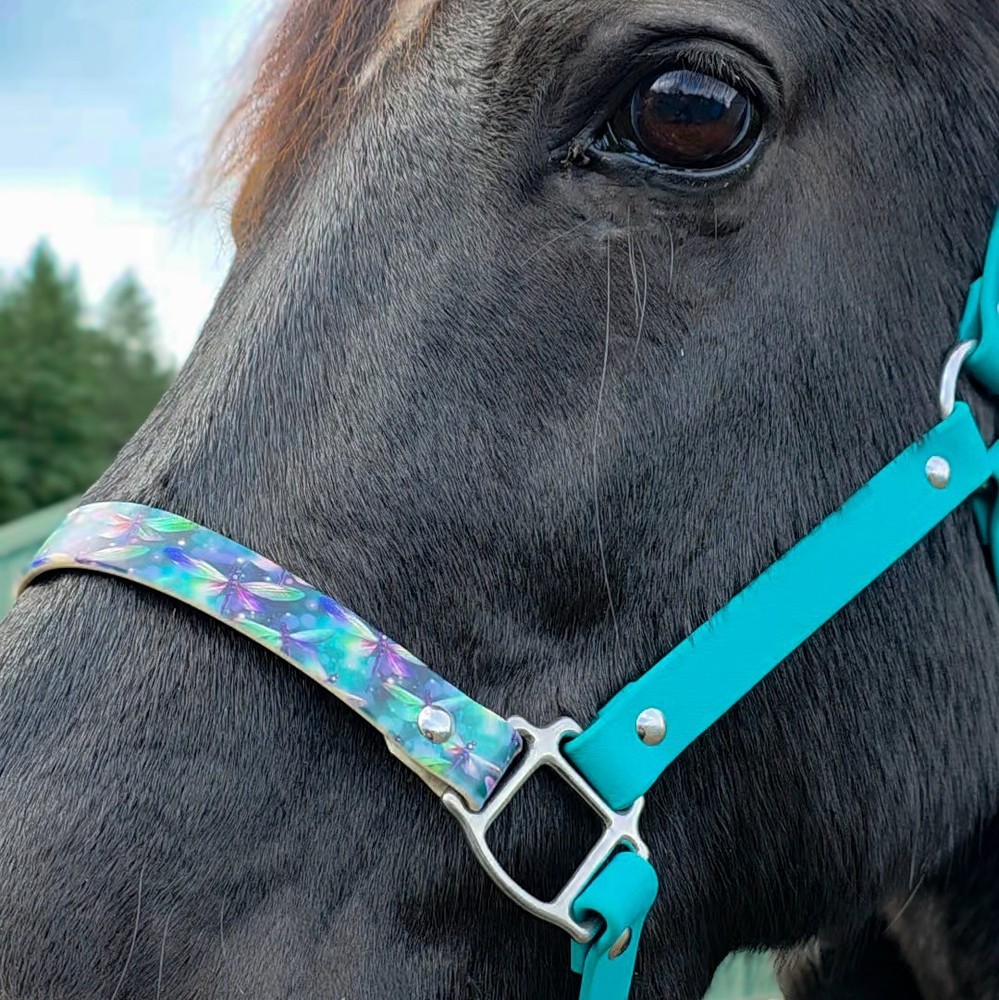 Biothane Horse Halter - Dragonfly