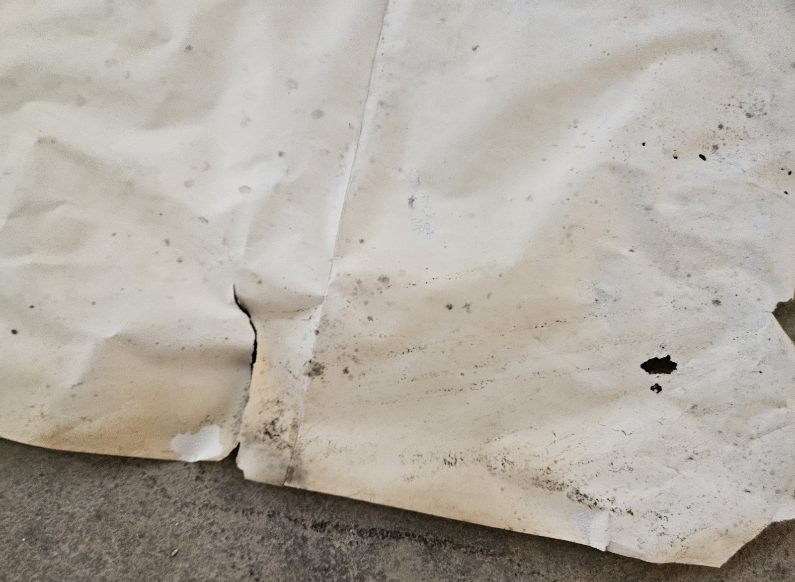 Vintage Original Riot On Sunset Strip 1967 Movie Film Poster SEE DAMAGE RARE🌴🎬