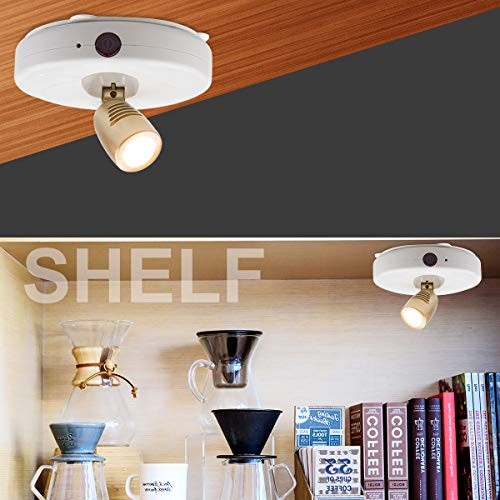 BIGLIGHT Spotlight Battery Operated, LED Puck Light, Dimmable Uplight with