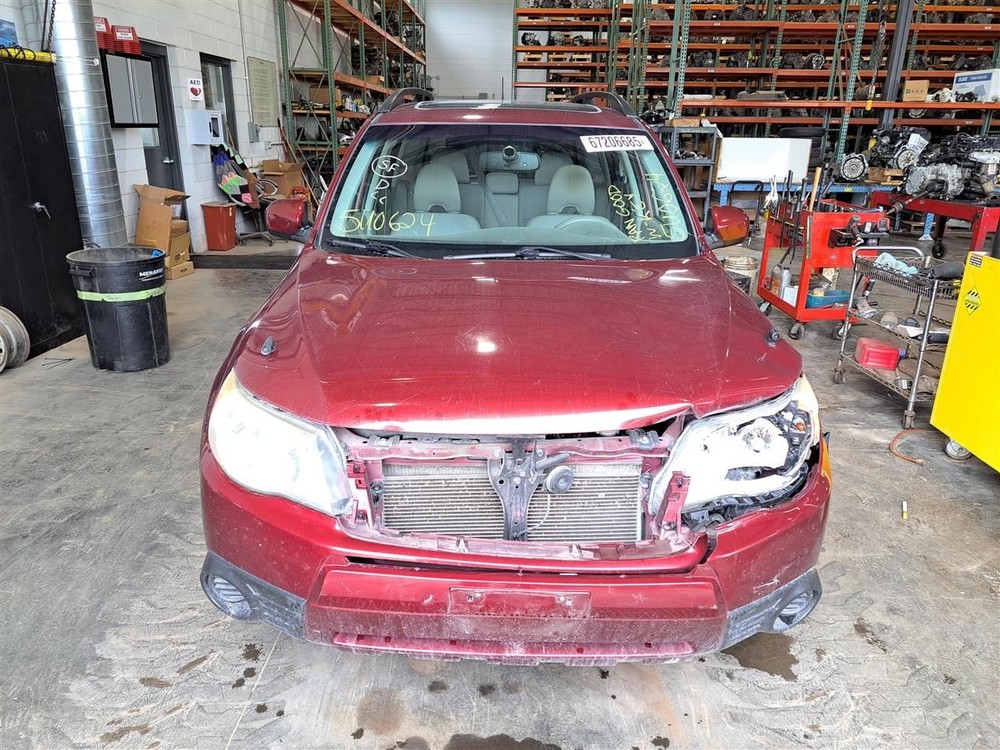 2011 Forester Jack Sku#4228777