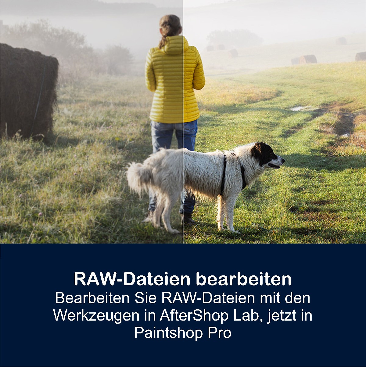 Corel PaintShop Pro 2023 Ultimate Vollversion 2 PC Dauerlizenz Download NEU