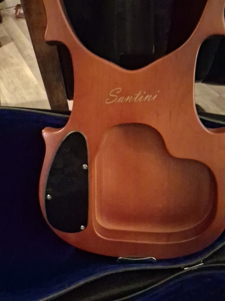 Electric Violin And Case