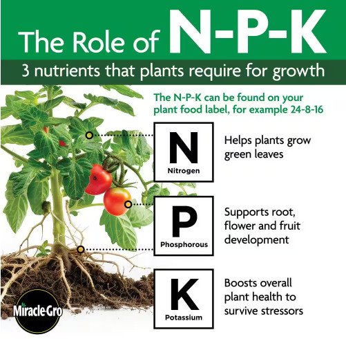 Miracle-Gro Water Soluble All Purpose Plant Food