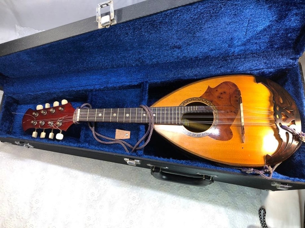 Mandolin SUZUKI226 8 string with case