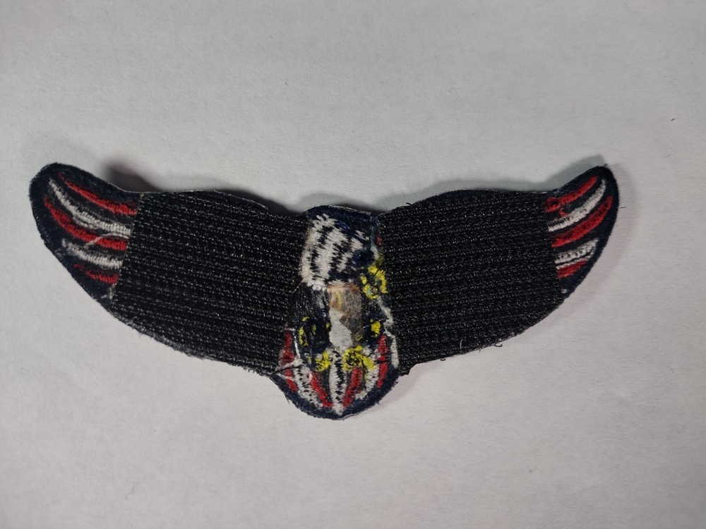 USA Eagle Wings Embroidered Patch Patriotic Hook & Loop Back