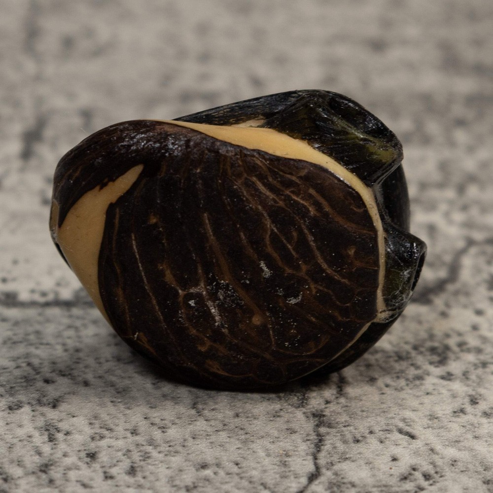 Black Howler Monkey Tagua Carving