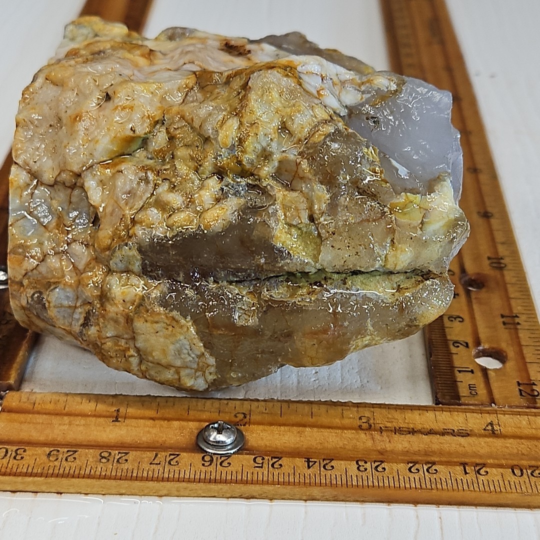 Flower Agate, Madagascar, beautiful color, flower like dendrites 1LB 15.5oz.