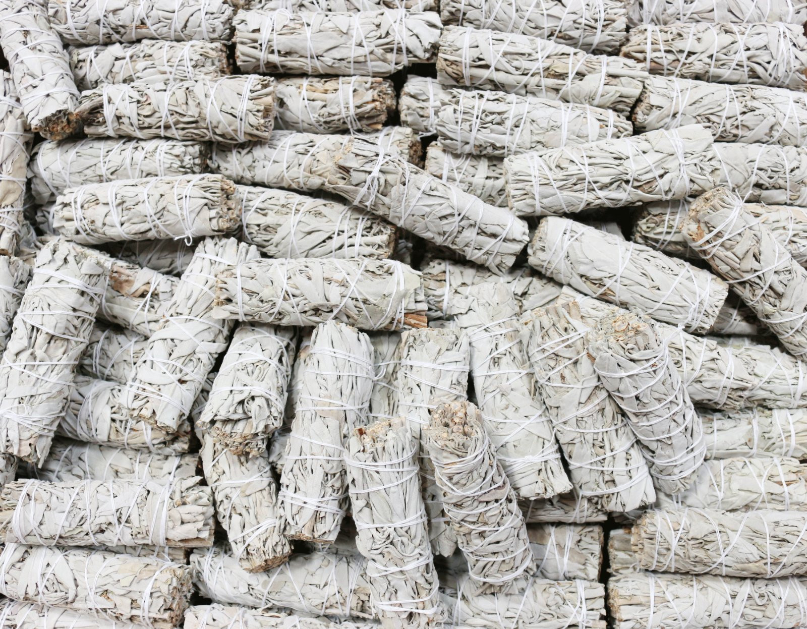White Sage Smudge Sticks (4" - 5") Wholesale Bulk Quantity 50 White Sage Wands