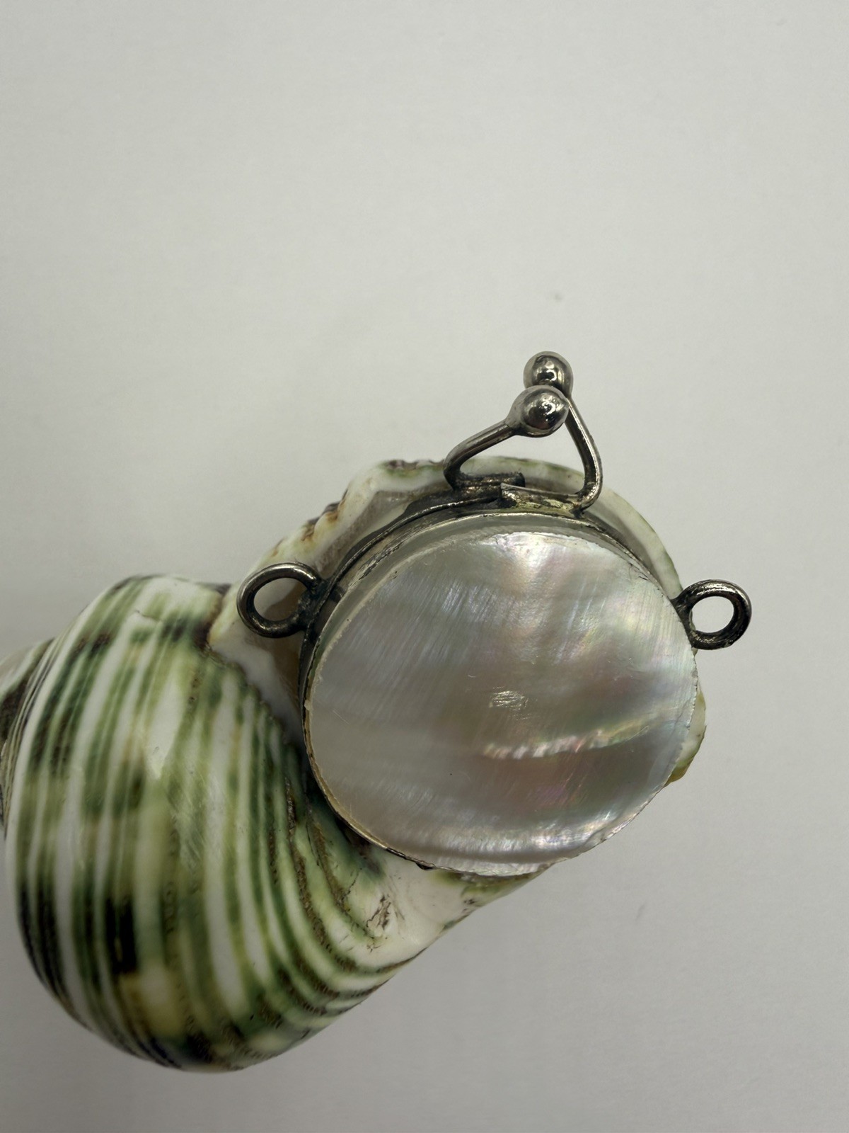 Antique Turbo Shell pill snuff box pendant needs repair