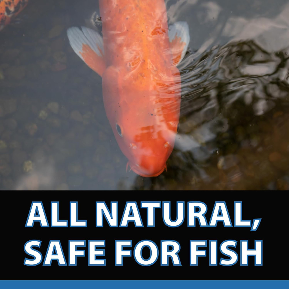 Knockout plus All Natural Fish Treatment - 1 Gallon