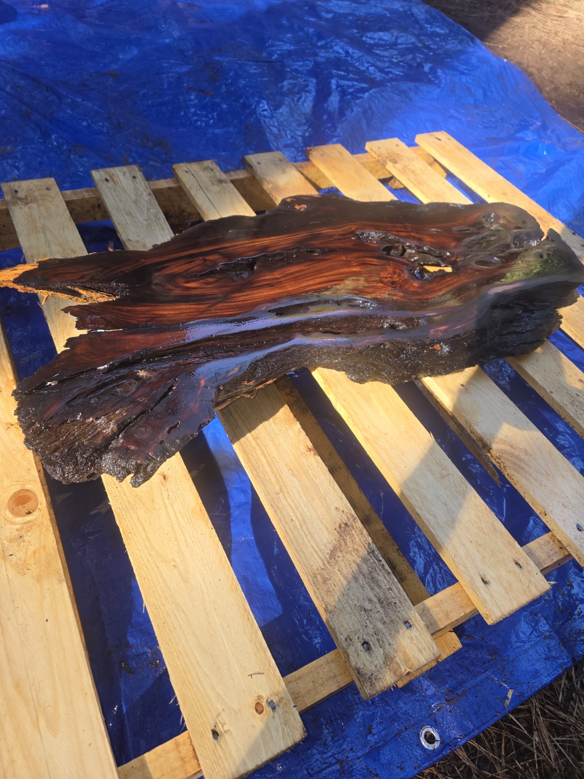 Desert Ironwood Live Edge Slab Epoxy Resin River Table Woodworking Art Mill Log