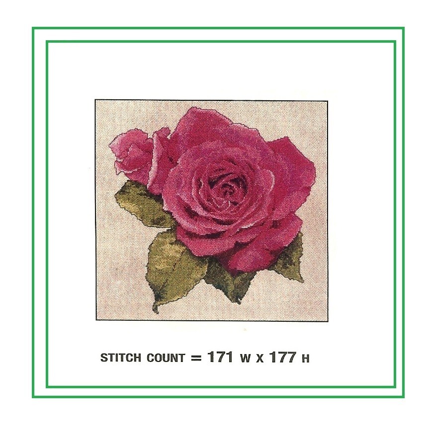 SUMMER SIZZLE ROSE   CROSS  STITCH  PATTERN  ONLY  PY - VYP