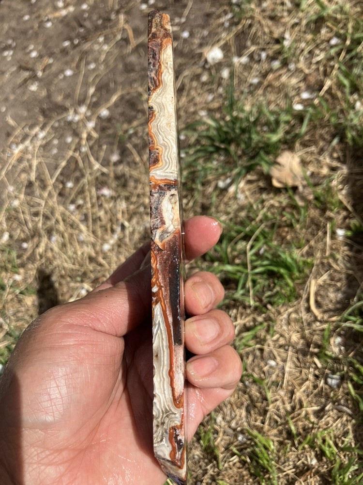 Crazy Lace Agate Slab (Mexico)