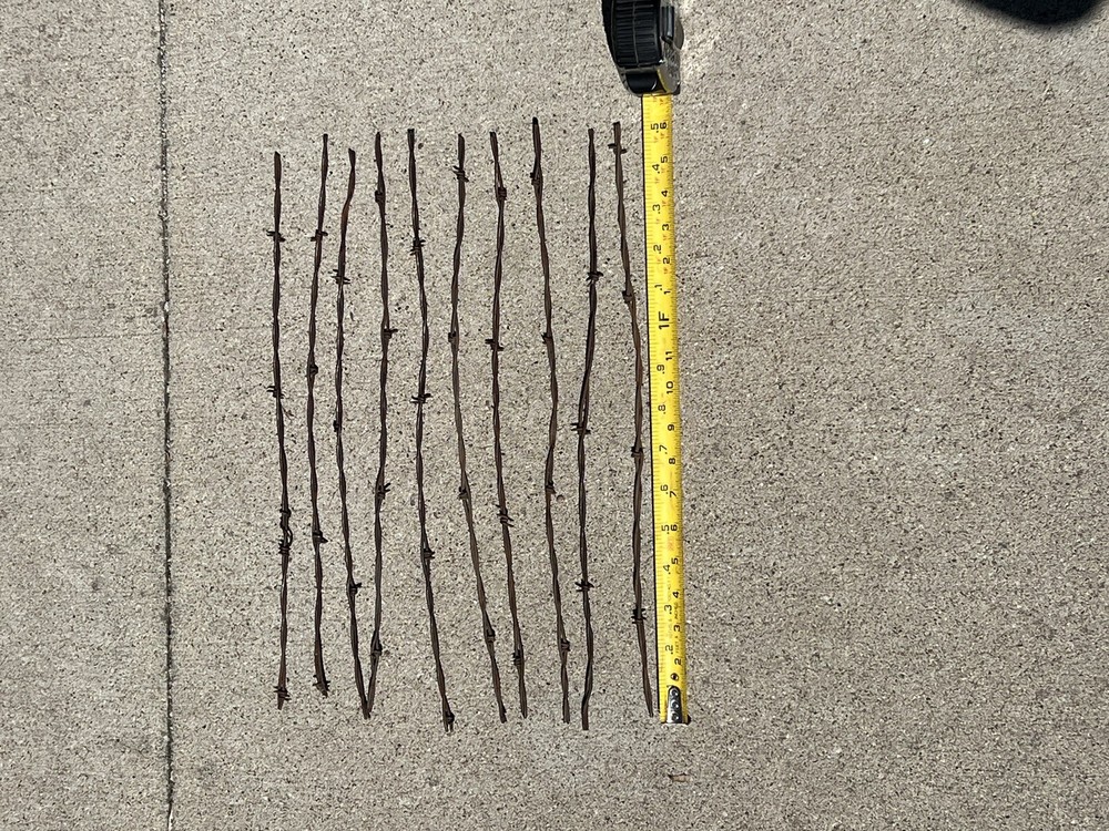 Rusty Barb Wire 18 Inch strands. Sharp old rustic look. Crafting Decor. 10 Count