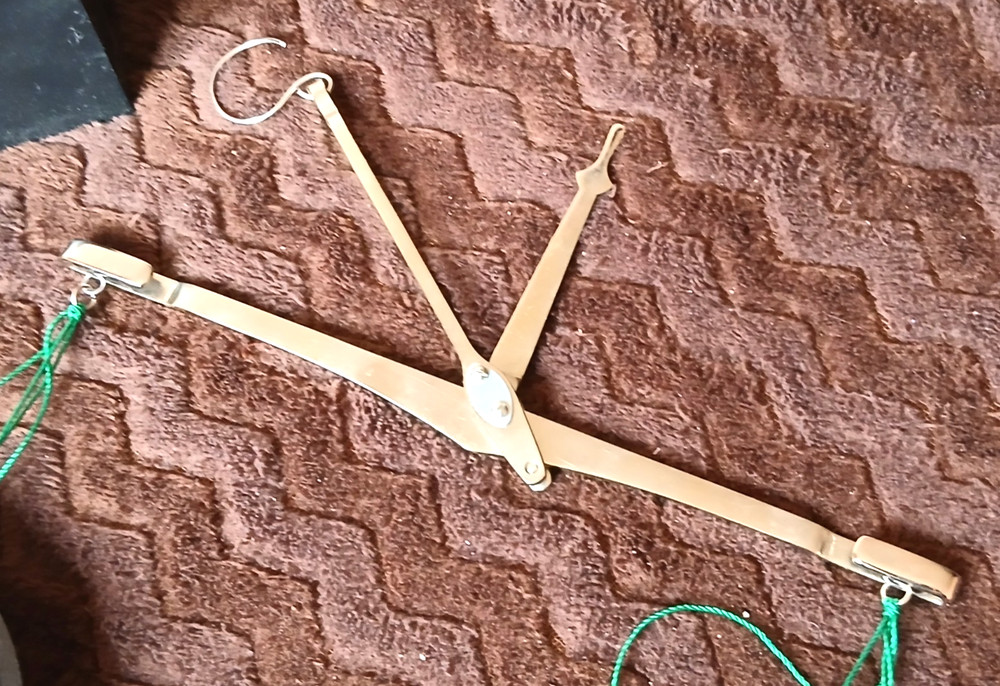VR-100 Manual Scale (up to 100g)