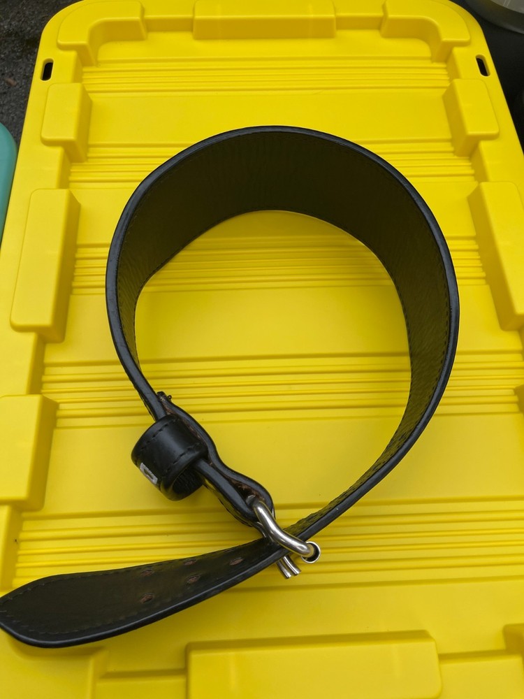 Bradley Martyn Lifting Belt BMFIT