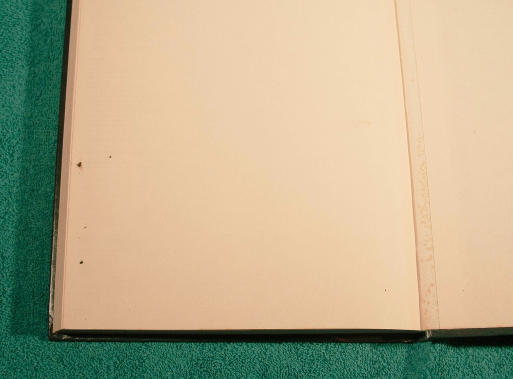 Advanced Dungeons & Dragons Dungeon Masters Guide 6th Alpha Revised Edition 1979